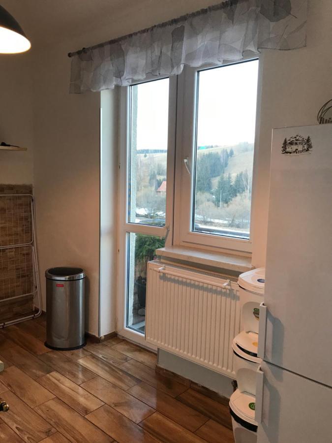 Apartman Orlicke Zahori Buitenkant foto