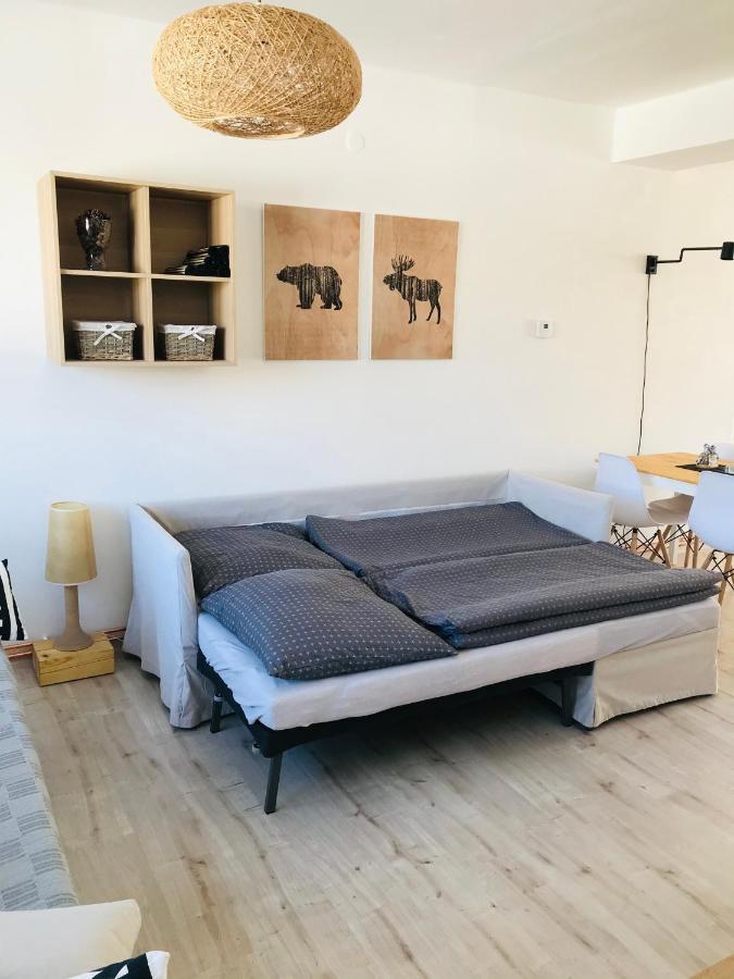 Apartman Orlicke Zahori Buitenkant foto